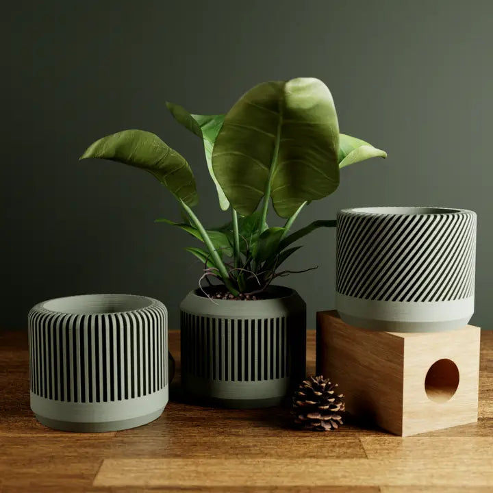 Eco Friendly - Bamboo Planter Set - Modernized Pottery