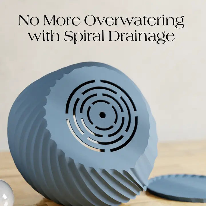 Sea Planter - Small by Modernized Pottery